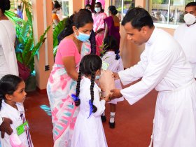 Distribution of Kumbuk Trees for new Loyolians