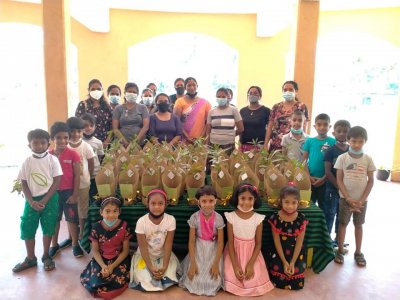 Distribution of Mee Trees for Primary Students
