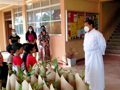 Distribution of Mee Trees for Primary Students