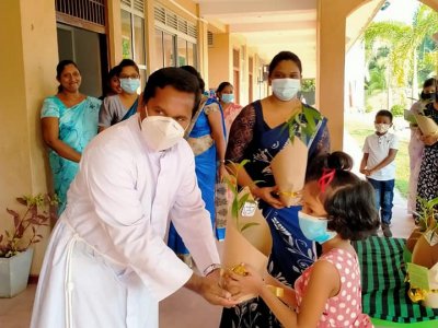 Distribution of Mee Trees for Primary Students