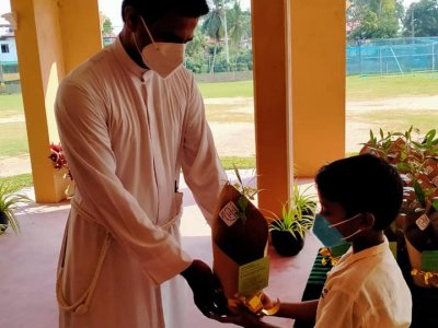 Distribution of Mee Trees for Primary Students