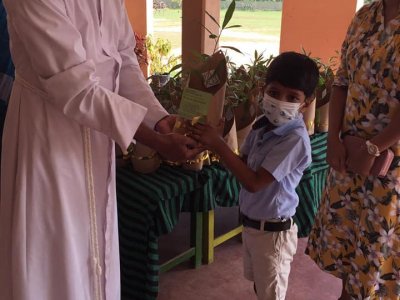 Distribution of Mee Trees for Primary Students