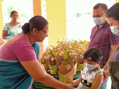 Distribution of Mee Trees for Primary Students