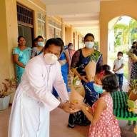Distribution of Mee Trees for Primary Students